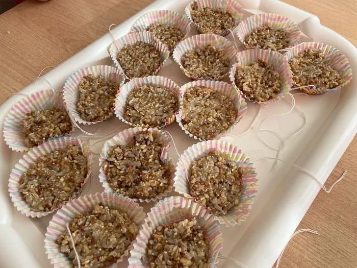 лакомство для птиц