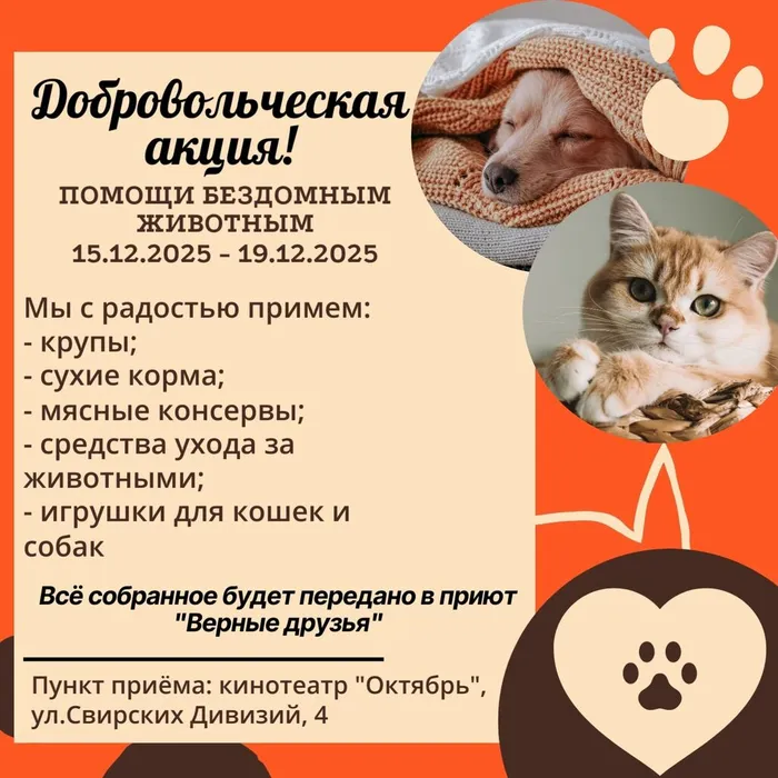 акция