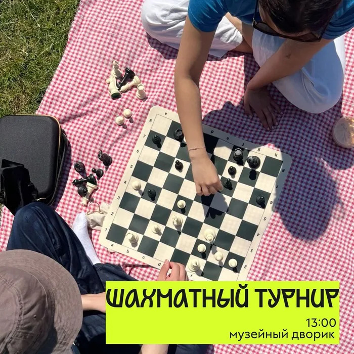 шахматы